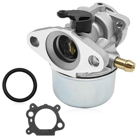 Dunviku 799868 Carburetor for Briggs & Stratton 4-7 HP Engines (No Choke) Includes Gasket & O-Ring High Performance Small Engine Carb Replacement 694202, 693909 Compatible with Models 14111, 698444
