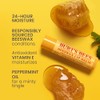 Burt's Bees 100% Natural Moisturizing Lip Balm, Original Beeswax with