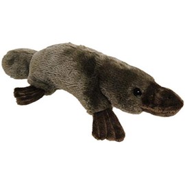 Elka Australia Platypus Soft Plush Toy, 25 x 25 Centimeters