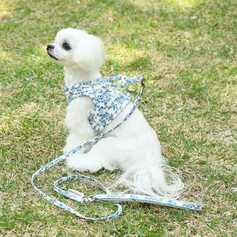 LAURA ASHLEY ローラアシュレイ フラワー ハーネス | 花柄 胴輪 犬具 胴ベルト