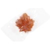 Maple Drops Individually Wrapped Hard Candies Made with Pure Maple
