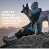 Petandim Suplemento para perros con Colageno y Omega 3 30