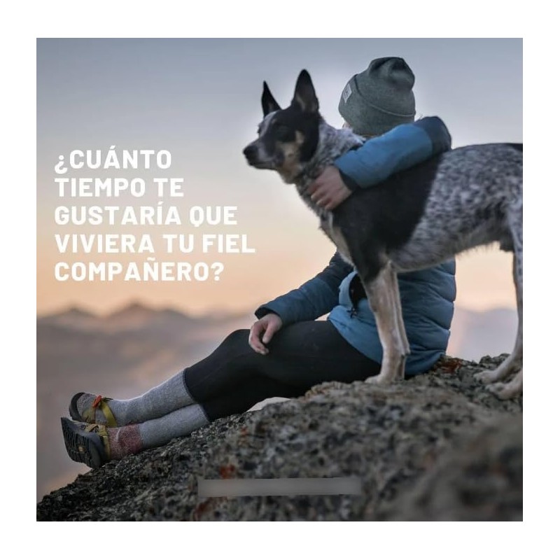 Petandim Suplemento para perros con Colageno y Omega 3 30