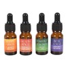 Essential Oils Set - 4x10ml Blended Oils with Dropper Lids