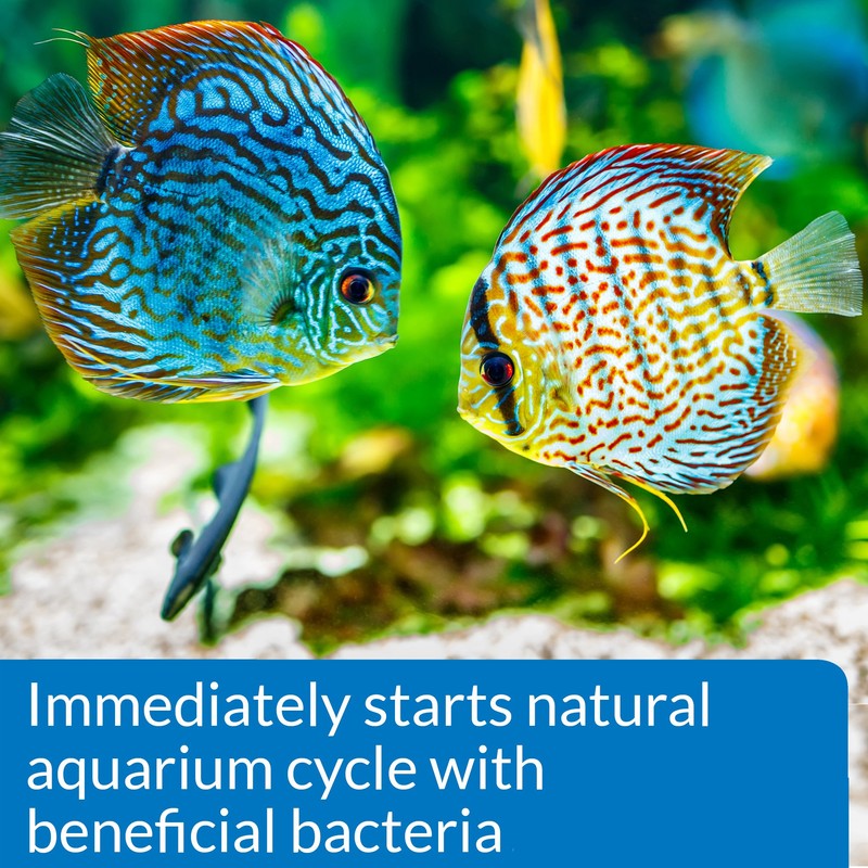 API QUICK START Freshwater and Saltwater Aquarium Nitrifying Bacteria 1-Ounce