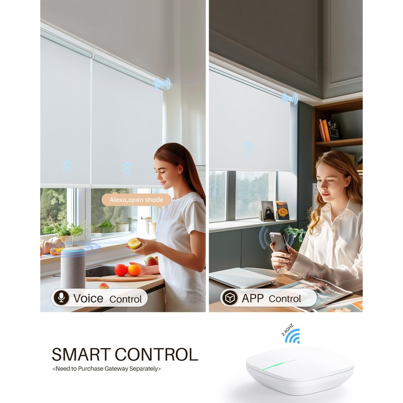 JaeJaes Motorized Roller Shades with Remote Control, Blackout Smart Shades