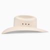 Resistol Unisex Santa Clara 10X Straw Cowboy Hat - RSSACL-304281