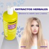 Nefertiti Acondicionador Extracto De Hierbas - 1 L