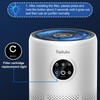 Tailulu 2 Pack D10 Replacement Filter, Air Purifier Filter for