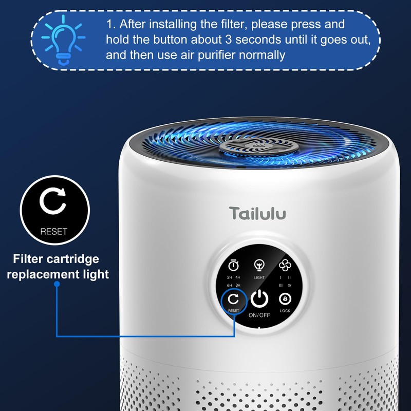 Tailulu 2 Pack D10 Replacement Filter, Air Purifier Filter for