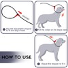 Slip Lead Dog Leash Slip Lead 6 FT Dog Training