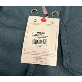 Champion Powerblend Fleece Hoodie Size Medium In Metallic Tea