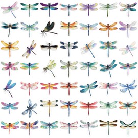 50 Pcs Dragonfly Stickers for Scrapbooking, PET Transparent Decorative Stickers Supplies Journal Stuffers for Adult Card Making Letters DIY (Dragonfly)