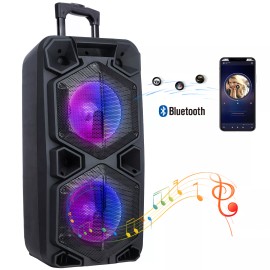 Universal Dual 10" Subwoofer Portable Bluetooth Speaker Party Trolley Woofer FM Karaok Mic