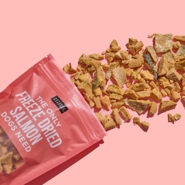 Natural Rapport Salmon Dog Treats - The Only Freeze Dried Salmon Dogs Need - All Natural Dog Treats for Small and Large Dogs (3 oz)