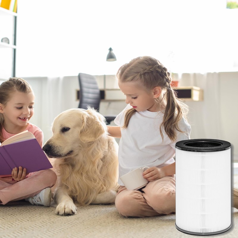 WOCASE AP-T45 Filter Replacement,True HEPA Filter Compatible with Homedics Total