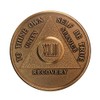 42 Year AA Medallion Traditional Bronze Raised Center Sobriety Chip