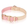 AKAGIICHI Dog Collar Leather Dog Collar Collar for Small, Medium