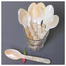 Hrlace 16 cm Mother of Pearl Spoon Caviar Spoon Egg Spoon Handmade Sea Mother of Pearl Natural Product Freshwater Clam Mother of Pearl Caviar Spoon Natural Bowl Spoon for Caviar Egg Ice Cream Coffee
