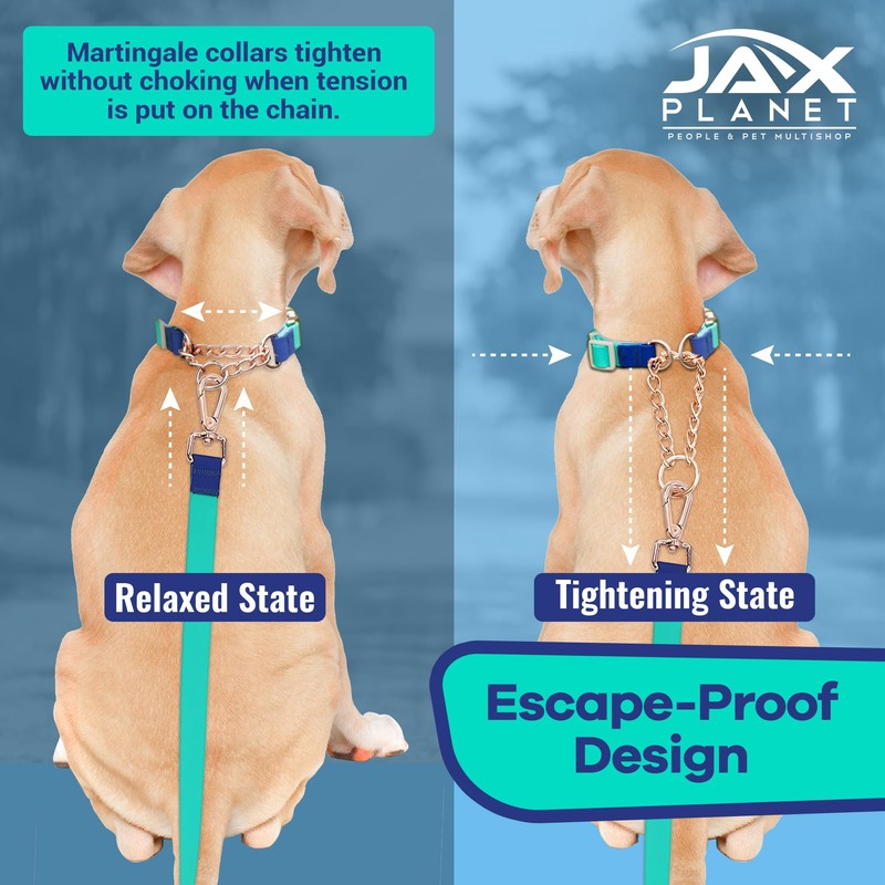 Jelly Waterproof Martingale Dog Collar, No Pull Nylon Collar with