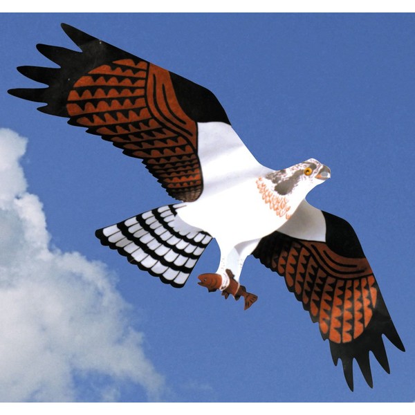 Jackite Osprey Kite