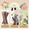 Cat Catnip Toys, Cute Cat Toys with Catnip for Indoor