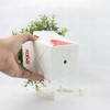 3D Printed Planter Chinese Takeout Box - Set of 3
