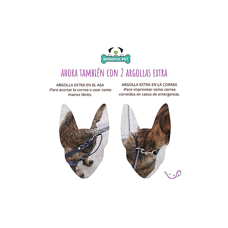 Correa de Paseo para Perros, de 1.8m de Largo.