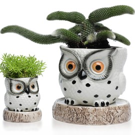 Owl pots 5.5+2.5 Inch With Reservoir Self Watering Plant Pots For Indoor Outdoor plants White Ceramic Planters For All House plants,Succulents, African Violets, Flowers,Herb and Cactus Candle Holder