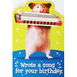 Wrote A Song For Your Birthday Funny Happy Birthday Greeting Card with Hamster Playing Harmonica