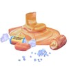 Werther's Original Salted Caramel Crème Soft Caramels, Shareable Size Bag,