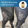 Color Health Dermatrix KH-0500450 Dermatrix Supports Skin and Coat Health