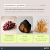 Resveratrol y Glutatión - Mezcla de Antioxidantes, Vitalidad y Energía
