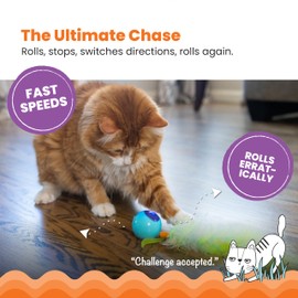 Catstages Roll & Chase Robot Toy –Interactive Electronic Cat Toy for Indoor with Feather Teaser Tail, Lights, USB Rechargeable, Automatic Moving Action for Active Play, Mental Stimulation & Enrichment