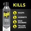 Raid Wasp & Hornet Killer Spray, 14 Oz, 2-Pack –