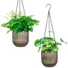 Melphoe 2 Pack Self Watering Hanging Planters Indoor Flower Pots,