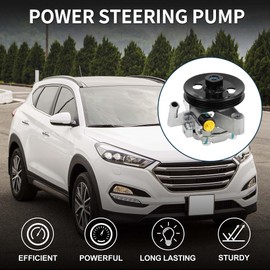 TUCKBOLD Power Steering Pump for Hyundai Tucson 2.0L L4 2005-2009 for Kia Sportage 2.0L L4 2005-2010 Consistent No.571002E000/571002F151 Power Assist Pump Silver Tone with Pulley 1 Pcs