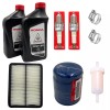 Honda Tune up kit Honda GXV630 GXV660 GXV690 FILTER 15400-PLM-A02