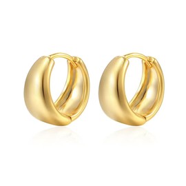 Salanda Gold Hoop Earrings for Women,Small Huggie 18K Gold Plated Earring Hypoallergenic Gold Earrings for Women Girls 020/16mm