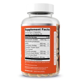 Essential Elements Glucosamine Chondroitin MSM Boswellia Serrata Hyaluronic Acid Supplement Joint Support Antioxidant Supplement for Flexibility - 90 Capsules