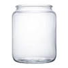 PFNRTH Jar Glass for Squirrel Feeder