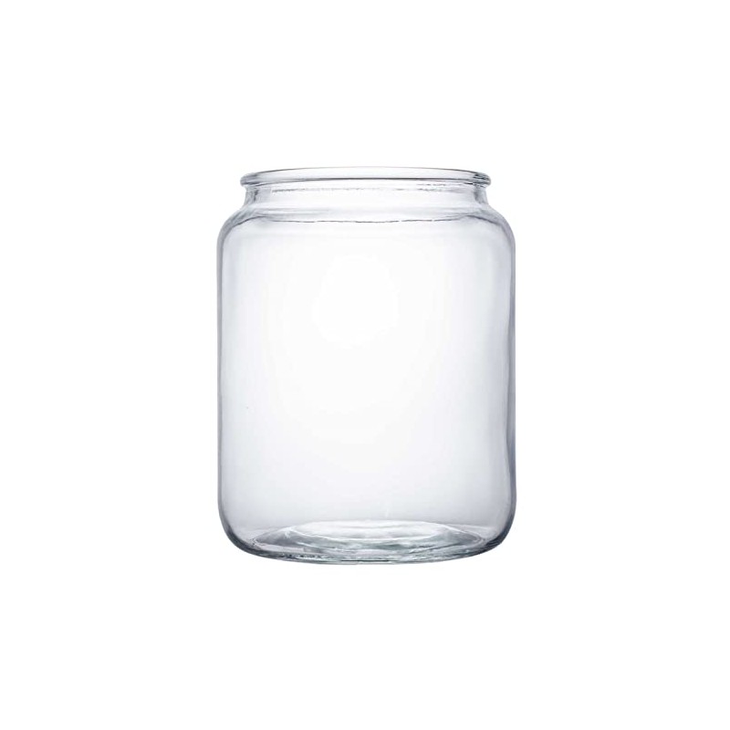 PFNRTH Jar Glass for Squirrel Feeder