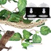SLSON Gecko Feeding Ledge Acrylic Suction with 20 Pcs 0.5oz