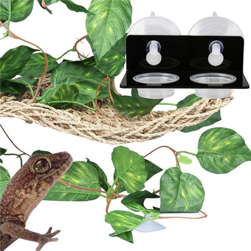 SLSON Gecko Feeding Ledge Acrylic Suction with 20 Pcs 0.5oz