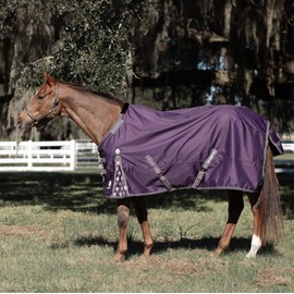 Equinavia Norse Lightweight 100g Fill Horse Rain Blanket | Waterproof Turnout Sheet - Black - 66 in - Grape Purple - 69 in