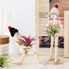 Melphoe 3 Pack Air Plant Holder Wooden Jointed Mannequin Tabletop
