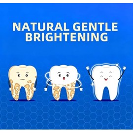 Gentle Brightening Hydroxyapatite Bee Venom Toothpaste for Daily Enamel Care, Mild Oral Care, Deep Surface Cleansing - 150 Mins Long Lasting Fresh Bre