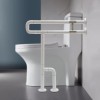 TBvechi Toilet Grab Bars Tub Rail Safety Handrails Handicap for