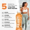 Ready® Protein Water – 20g Whey Protein Isolate, Zero Sugar,