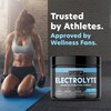 ETAFOR Electrolytes Powder - Electrolyte Drinks for Hydration, Vitality, Immunity